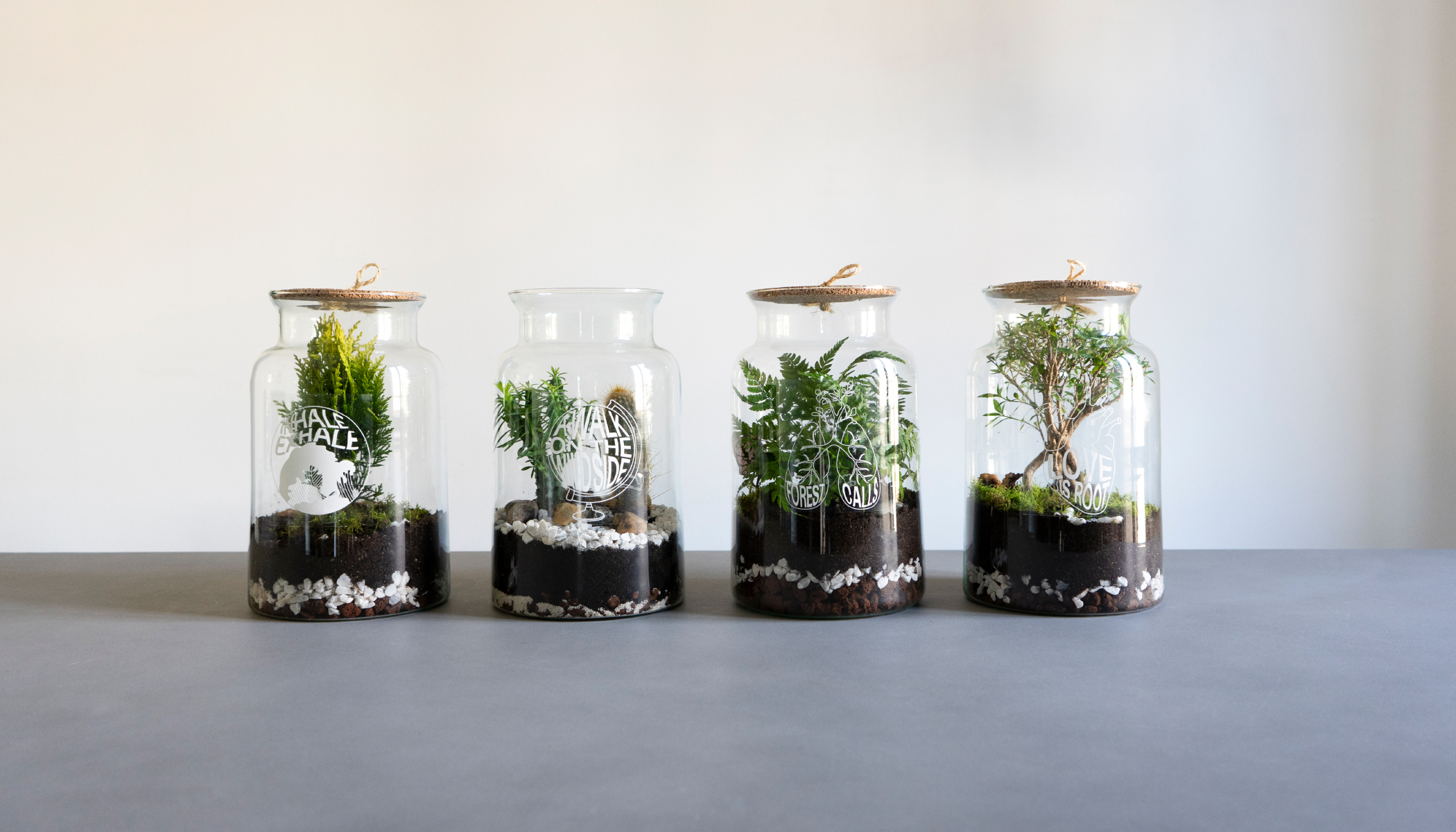 progetto-terrarium